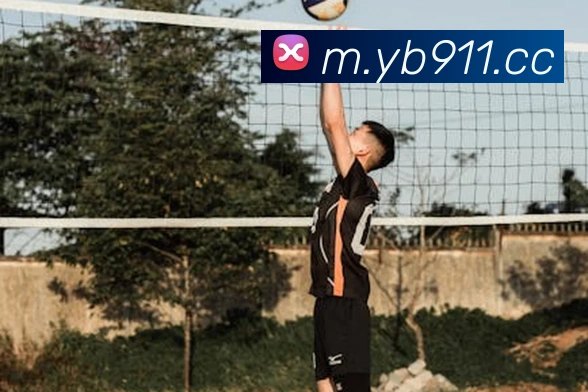 yabo亚博APP 封面图